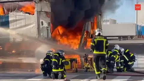 Evacuados casi 300 trabajadores por un incendio en una nave industrial de San Fernando de Henares (Madrid) Evacuados casi 300 trabajadores por un incendio en una nave industrial de San Fernando de Henares (Madrid)