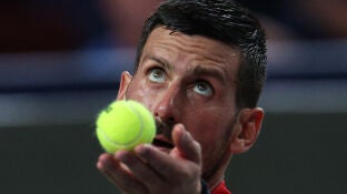 Novak Djokovic en el Masters 1.000 de Shangh&aacute;i