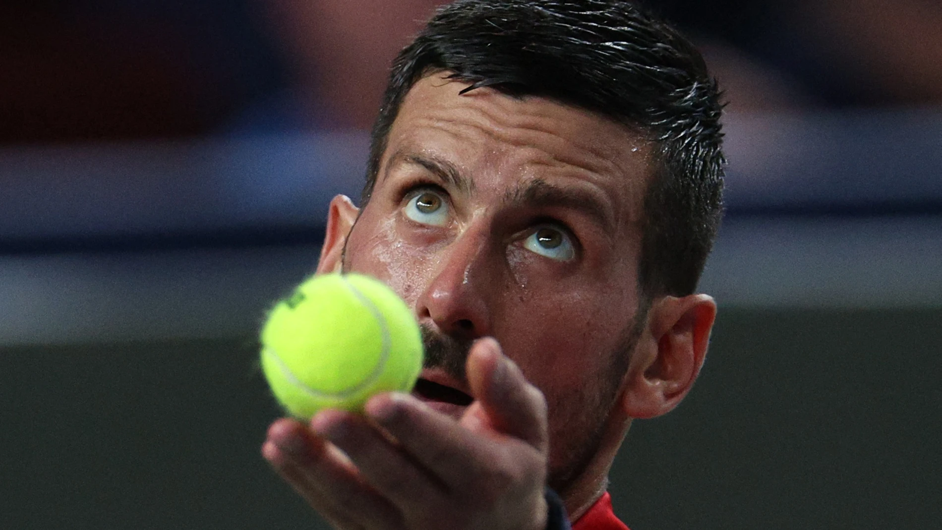 Novak Djokovic en el Masters 1.000 de Shanghái Novak Djokovic en el Masters 1.000 de Shanghái