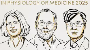 Nobel de Medicina 2025 premia a Brunkow, Ramsdell y Sakaguchi Nobel de Medicina 2025 premia a Brunkow, Ramsdell y Sakaguchi