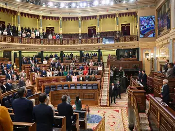 Sesión plenaria del Congreso de los Diputados Sesión plenaria del Congreso de los Diputados