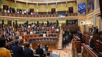 Sesi&oacute;n plenaria del Congreso de los Diputados