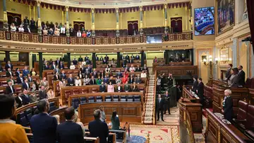 Sesión plenaria del Congreso de los Diputados Sesión plenaria del Congreso de los Diputados