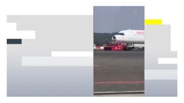 Impacto de ave en el avión