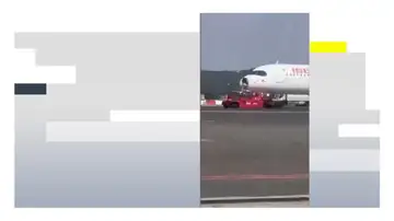 Impacto de ave en el avión Impacto de ave en el avión