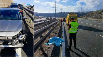 El emú atropellado El emú atropellado