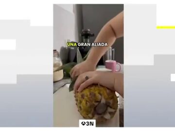 Los bulos sobre alimentación se disparan en redes sociales