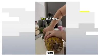 De la piña para curar el cáncer al aceite de oliva tóxico, los bulos sobre alimentación se disparan en redes sociales