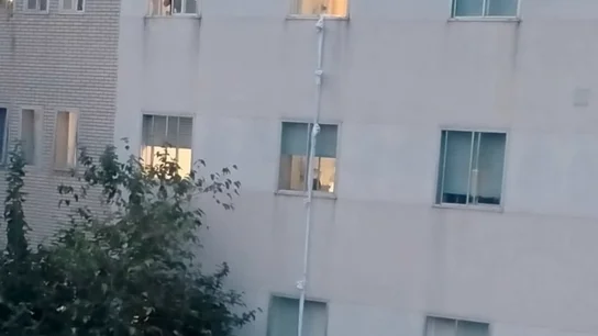 Un preso se fuga del hospital de Jerez utilizando sábanas Un preso se fuga del hospital de Jerez utilizando sábanas