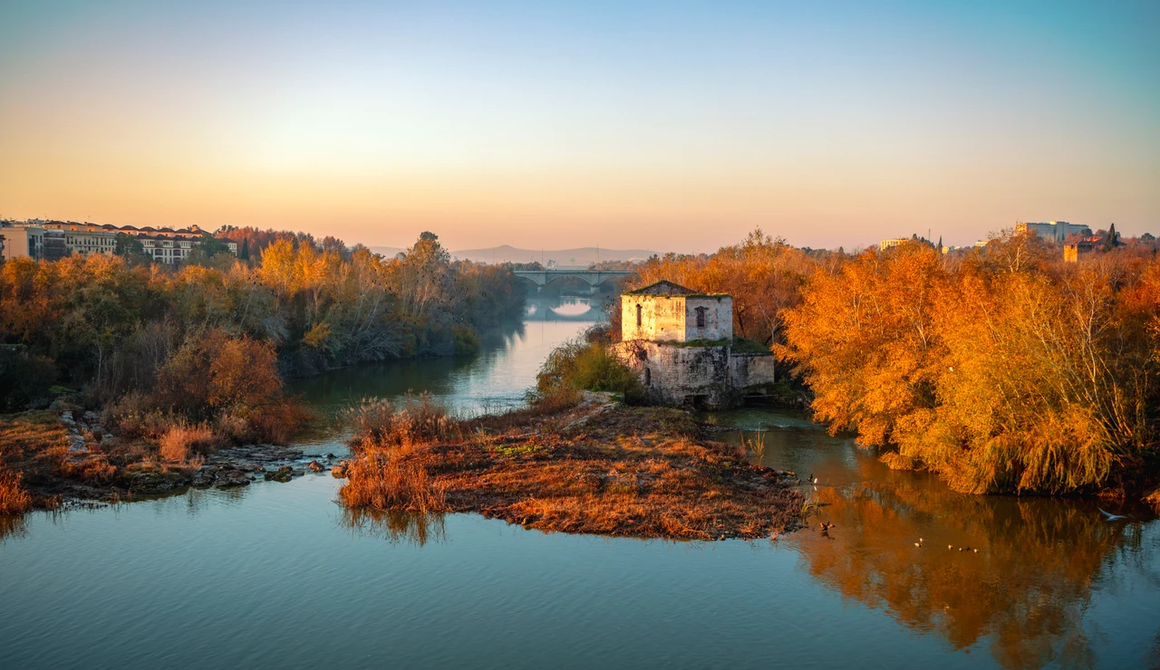 Sotos de la Albolafia en el río Guadalquivir en Córdoba