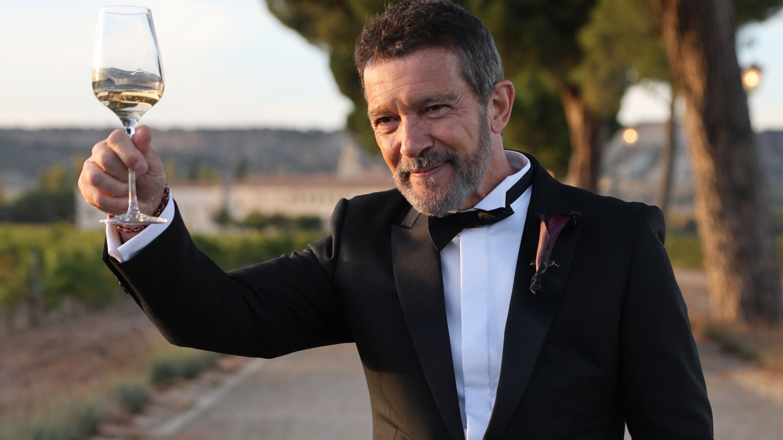 Antonio Banderas brinda con la prensa en la boda de su hija Stella