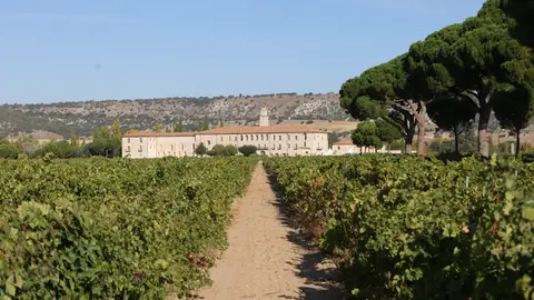 Abadía Retuerta LeDomaine, en Sardón de Duero (Valladolid) Abadía Retuerta LeDomaine, en Sardón de Duero (Valladolid)