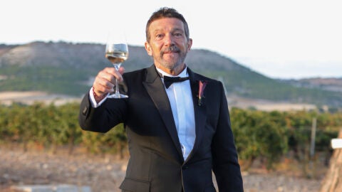 Antonio Banderas brindando por la boda de su hija