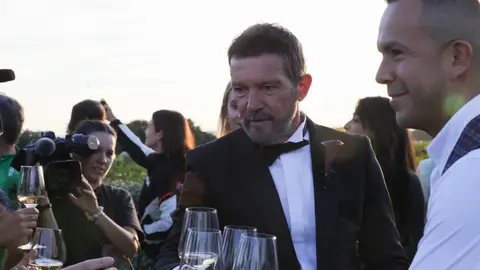 Antonio Banderas brindando con la prensa tras la boda de su hija Antonio Banderas brindando con la prensa tras la boda de su hija
