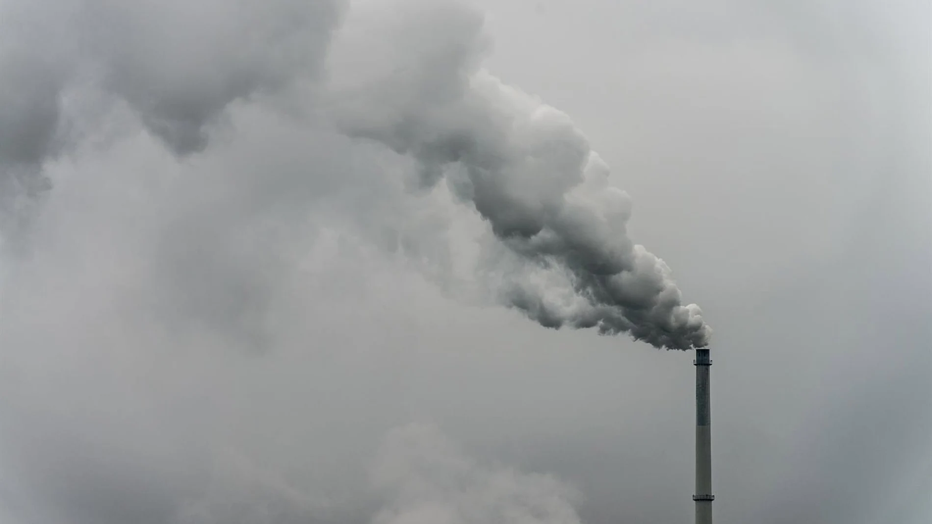 Uno de cada cuatro españoles respiran aire contaminado por ozono en los últimos tres años, según Ecologistas en Acción Uno de cada cuatro españoles respiran aire contaminado por ozono en los últimos tres años, según Ecologistas en Acción