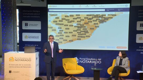 Portal estad&iacute;stico del notariado
