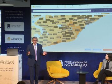 Portal estadístico del notariado