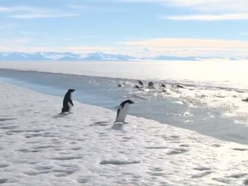 Efemérides de hoy 28 de octubre de 2025: Acuerdo para la creación del mayor área marina protegida en el mar de Ross