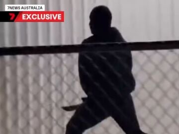 Un hombre armado irrumpe en un torneo de rugby