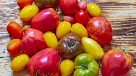 Tipos de tomates