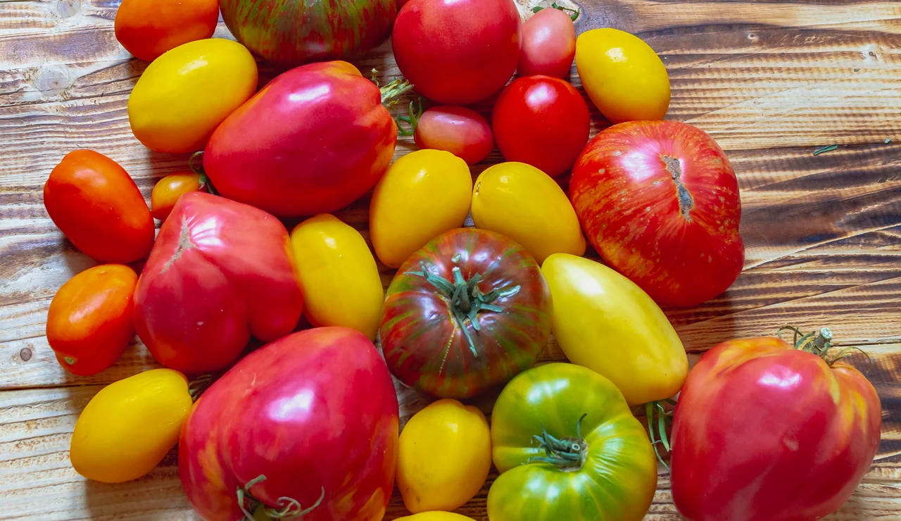 Tipos de tomates