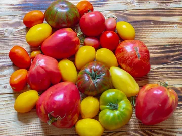 Tipos de tomates Tipos de tomates