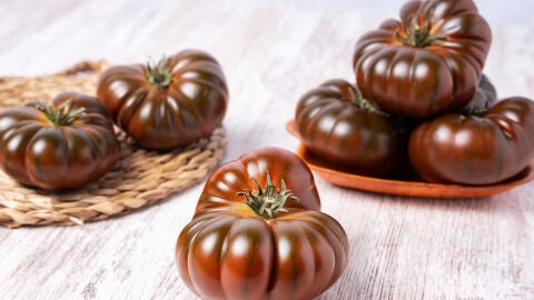 Tomate raf
