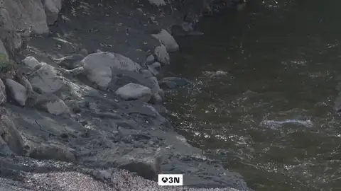 El ayuntamiento de Molinaseca pide ayuda a la Junta de Castilla y León para limpiar el cauce del río Meruelo El ayuntamiento de Molinaseca pide ayuda a la Junta de Castilla y León para limpiar el cauce del río Meruelo