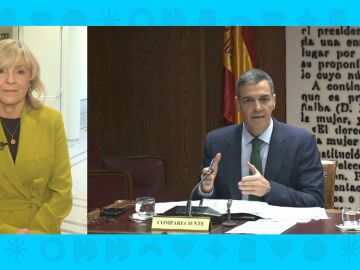 S&aacute;nchez comparece en el Senado.