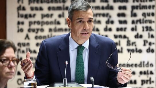 Pedro S&aacute;nchez en el Senado