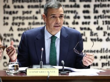 Pedro Sánchez en el Senado