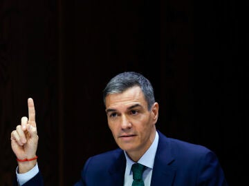 El presidente del Gobierno, Pedro Sánchez, en su comparecencia en la comisión Koldo del Senado