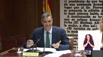 Pedro Sánchez en la comisión Koldo