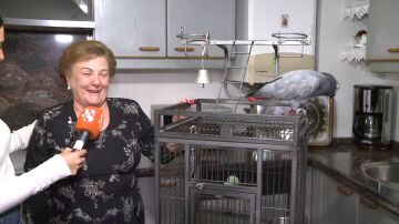 Dori y su loro Dori y su loro