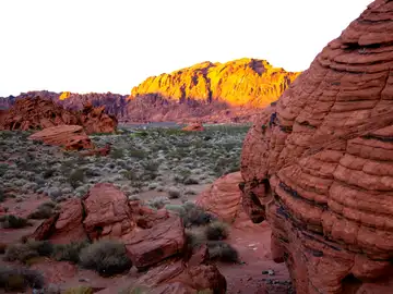 Desierto de Las Vegas Desierto de Las Vegas