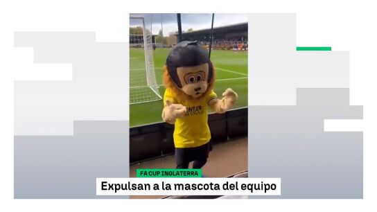 La mascota del St Albans City la l&iacute;a en el Pirelli Stadium