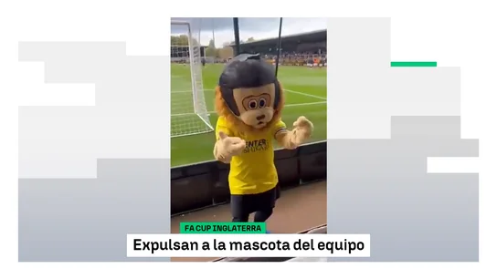 La mascota del St Albans City la lía en el Pirelli Stadium La mascota del St Albans City la lía en el Pirelli Stadium