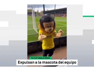 La mascota del St Albans City la l&iacute;a en el Pirelli Stadium