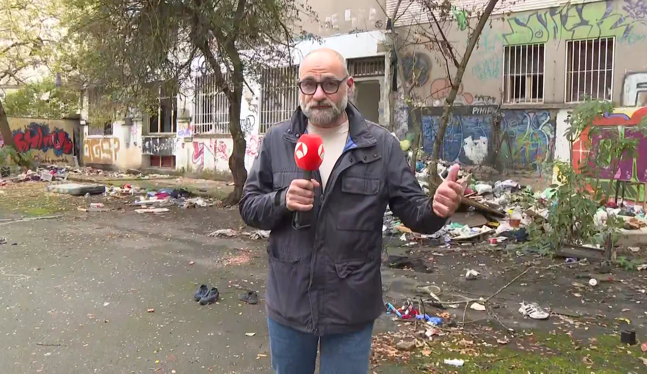 Nueva manada de Pamplona