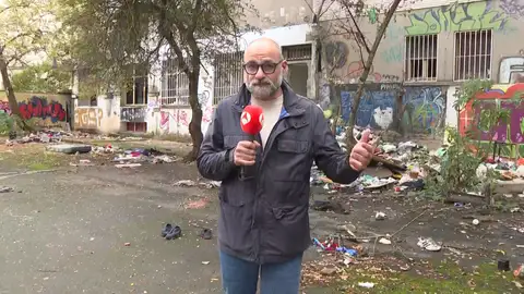 Nueva manada de Pamplona Nueva manada de Pamplona