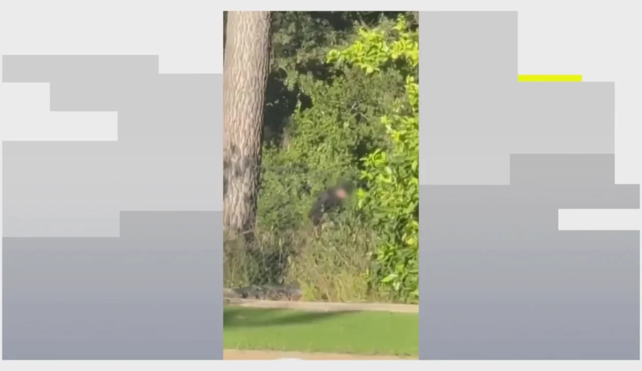 Así intentaban entrar en una casa de Bellaterra, en Barcelona