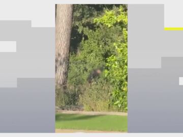 Así intentaban entrar en una casa de Bellaterra, en Barcelona