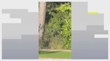 Así intentaban entrar en una casa de Bellaterra, en Barcelona Así intentaban entrar en una casa de Bellaterra, en Barcelona