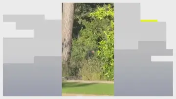 Así intentaban entrar en una casa de Bellaterra, en Barcelona Así intentaban entrar en una casa de Bellaterra, en Barcelona