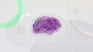 Imagen de un cerebro humano