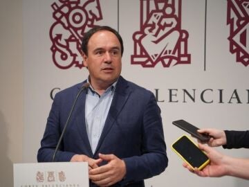 Juanfran Pérez Llorca, portavoz del Partido Popular en Les Corts