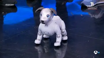 Un robot con personalidad y capacidad de empatía: así es el revolucionario perro terapéutico Un robot con personalidad y capacidad de empatía: así es el revolucionario perro terapéutico