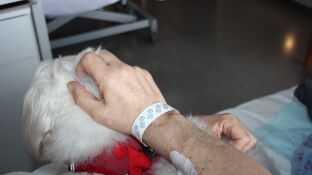 Un paciente de paliativos con un perro