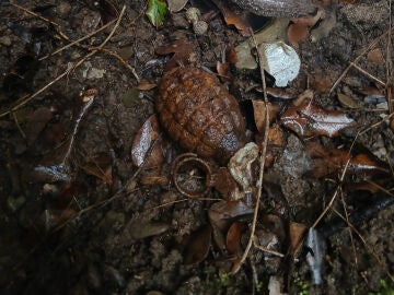 Un grupo de personas buscaban setas y encontraron un explosivo de la Guerra Civil