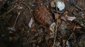 Un grupo de personas buscaban setas y encontraron un explosivo de la Guerra Civil Un grupo de personas buscaban setas y encontraron un explosivo de la Guerra Civil